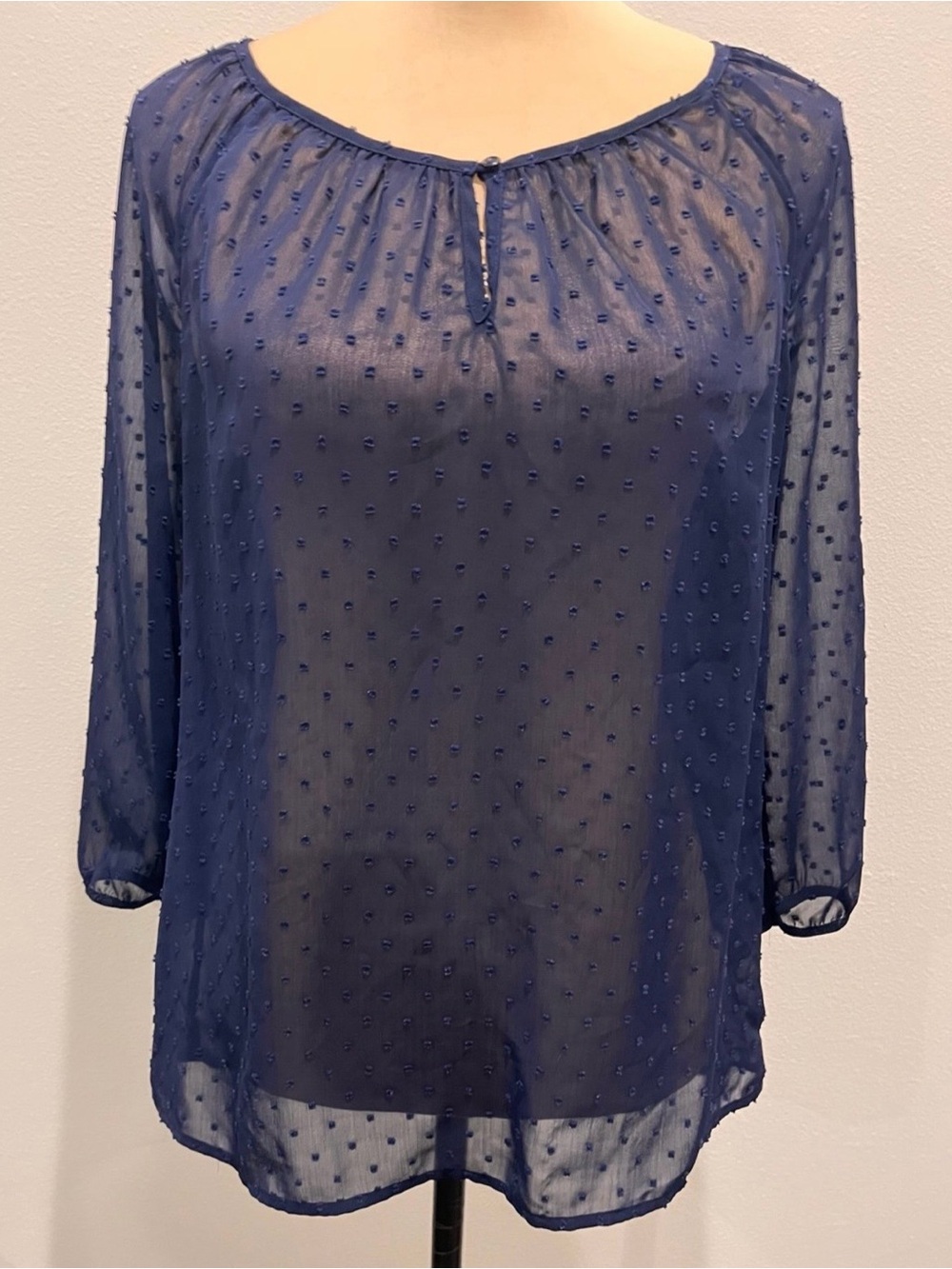 Sheer Women’s Navy Blue Swiss Dot Textured Blouse